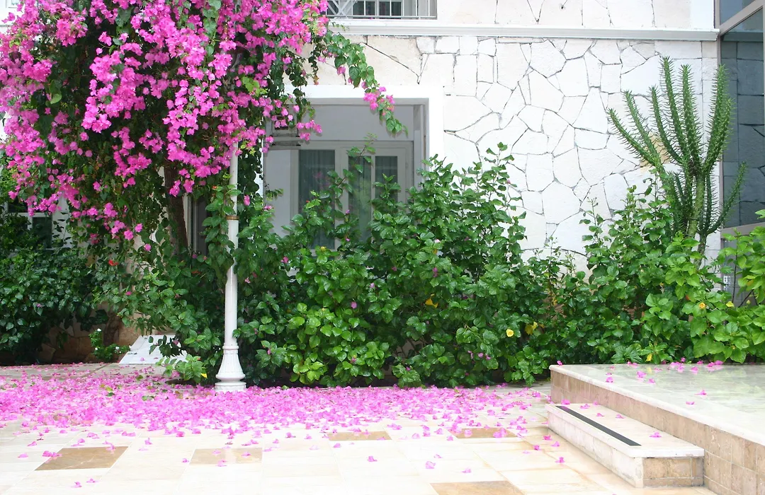 Petunya Konak Boutique Hotel-1